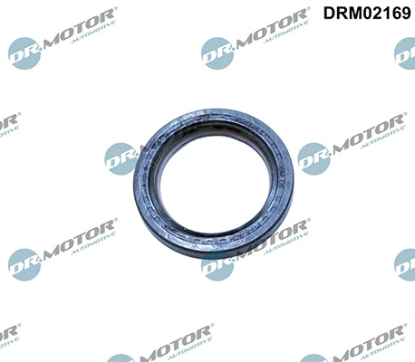 LIZARTE DRM02169