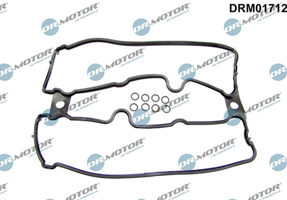 LIZARTE DRM01712