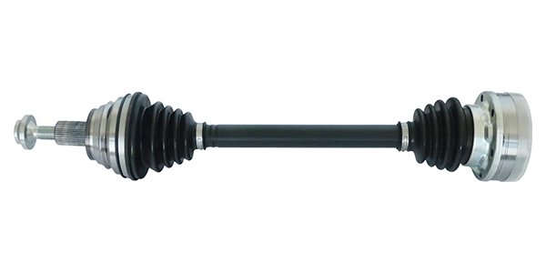 LIZARTE DS0090