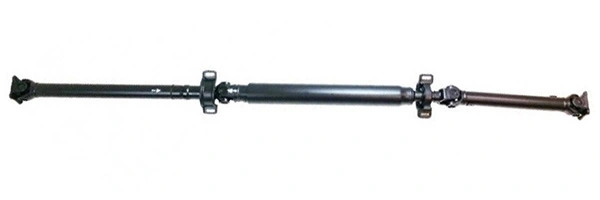 LIZARTE PS0002