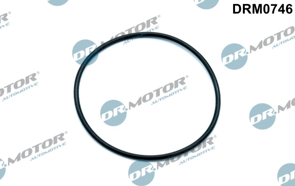 LIZARTE DRM0746