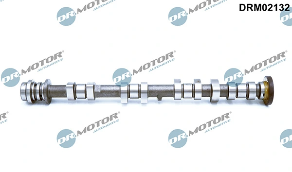 LIZARTE DRM02132