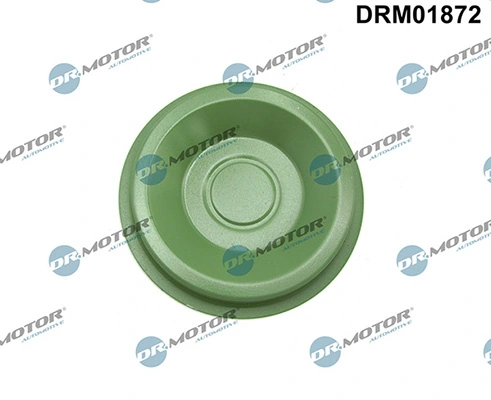 LIZARTE DRM01872