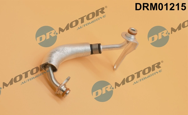 LIZARTE DRM01215