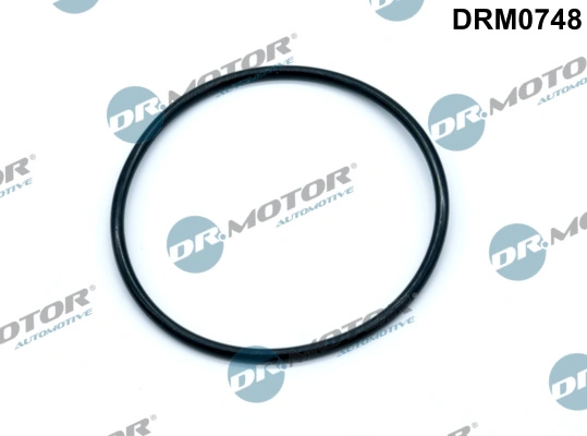 LIZARTE DRM0748