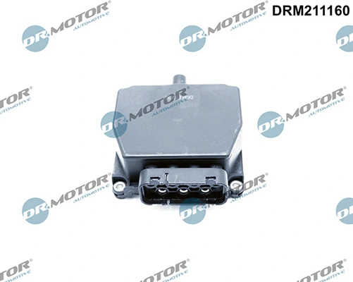 LIZARTE DRM211160