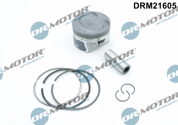 LIZARTE DRM21605