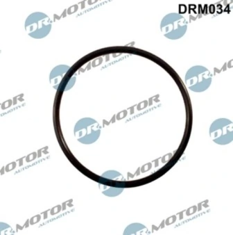 LIZARTE DRM034