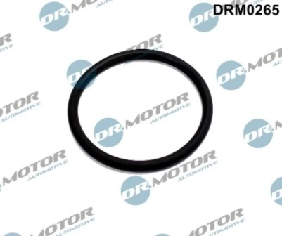 LIZARTE DRM0265