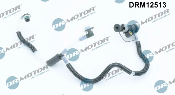 LIZARTE DRM12513