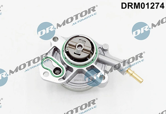 LIZARTE DRM01274