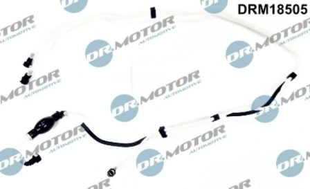 LIZARTE DRM18505