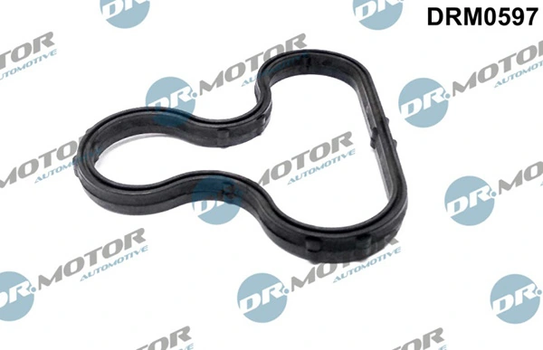 LIZARTE DRM0597
