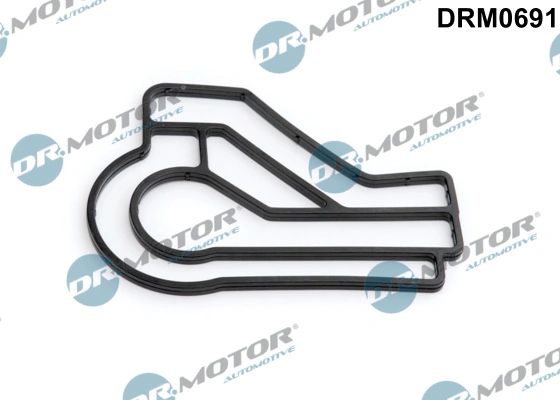 LIZARTE DRM0691