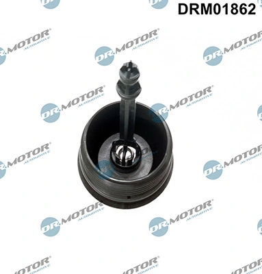 LIZARTE DRM01862