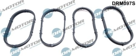 LIZARTE DRM097S