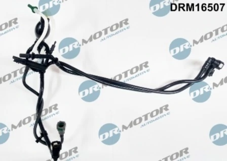 LIZARTE DRM16507