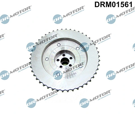 LIZARTE DRM01561