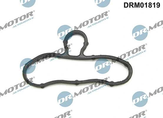 LIZARTE DRM01819