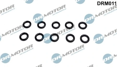 LIZARTE DRM011