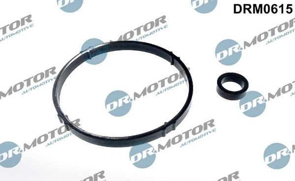 LIZARTE DRM0615