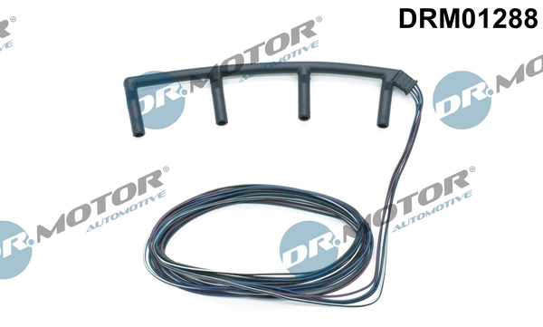 LIZARTE DRM01288