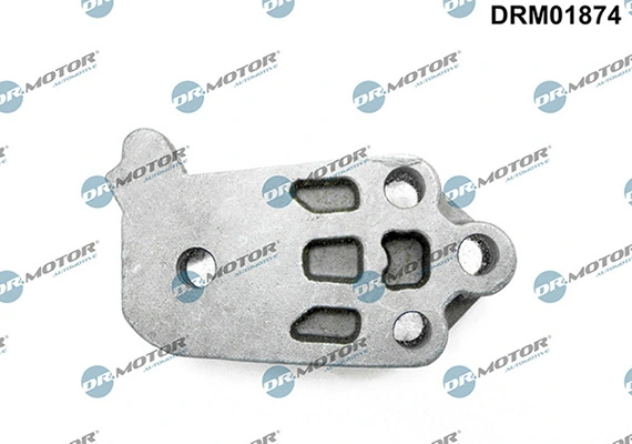 LIZARTE DRM01874
