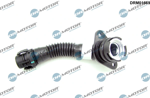 LIZARTE DRM01669