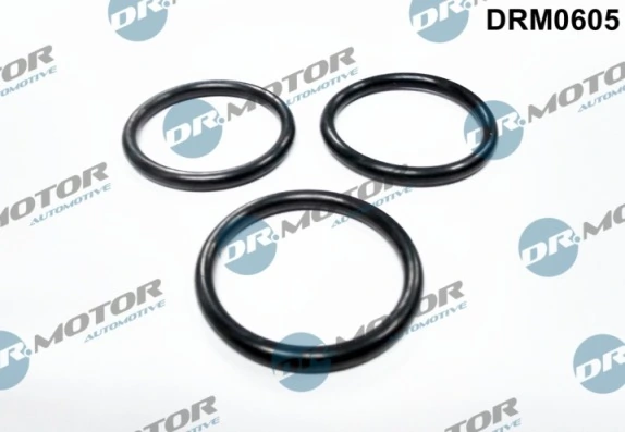LIZARTE DRM0605