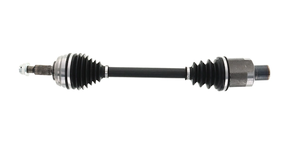 LIZARTE DS1398