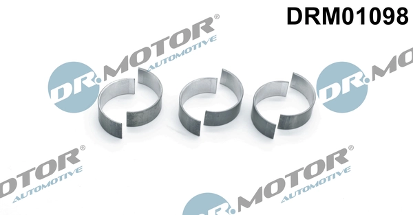 LIZARTE DRM01098