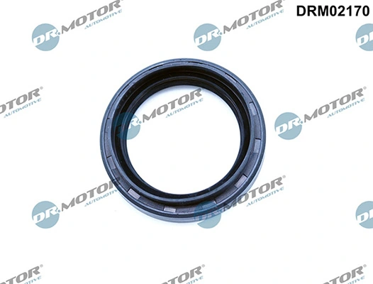LIZARTE DRM02170