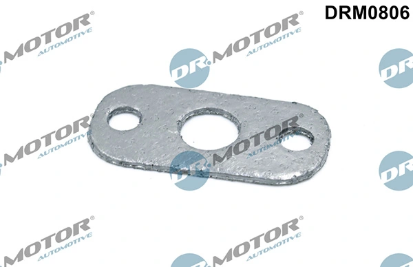 LIZARTE DRM0806