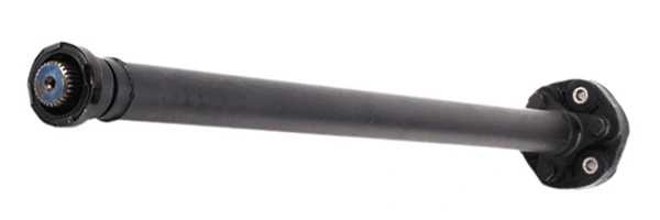 LIZARTE PS0033