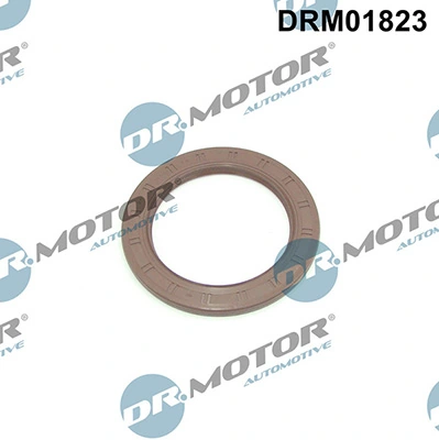 LIZARTE DRM01823