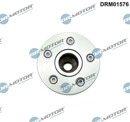 LIZARTE DRM01576