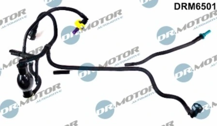LIZARTE DRM6501