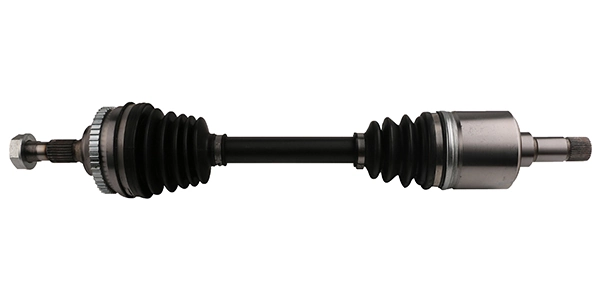 LIZARTE DS0573