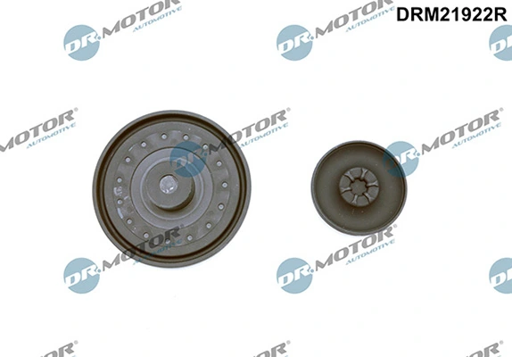 LIZARTE DRM21922R