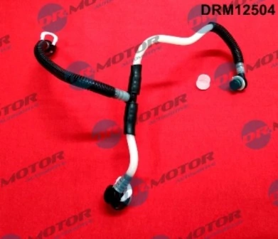 LIZARTE DRM12504