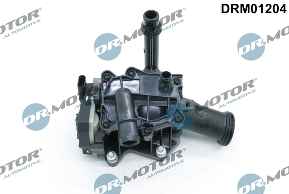 LIZARTE DRM01204
