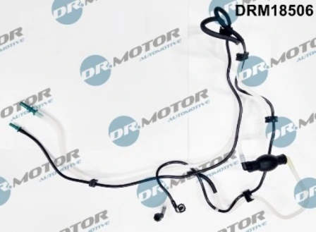 LIZARTE DRM18506