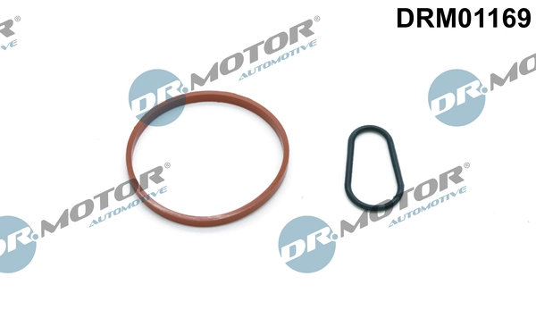 LIZARTE DRM01169