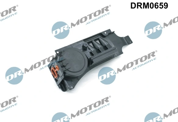 LIZARTE DRM0659