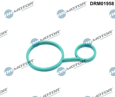 LIZARTE DRM01958