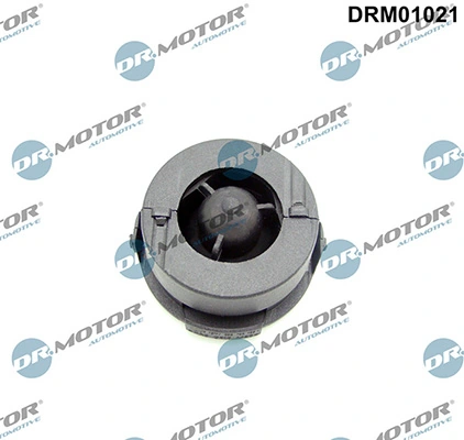 LIZARTE DRM01021