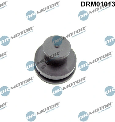 LIZARTE DRM01013