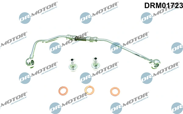 LIZARTE DRM01723