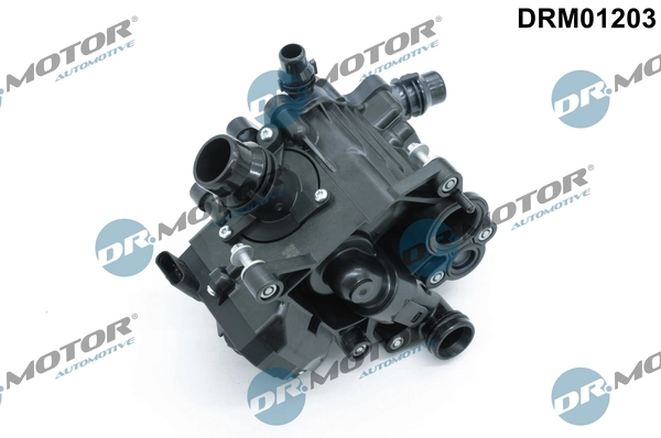 LIZARTE DRM01203