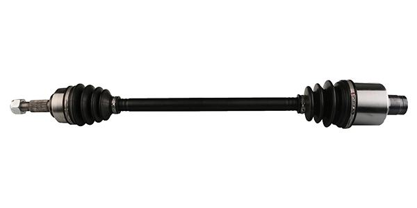 LIZARTE DS0806